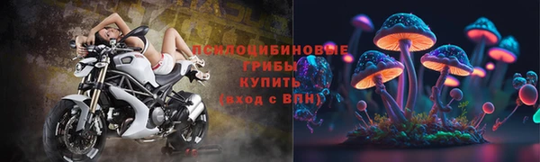 ешки Инсар