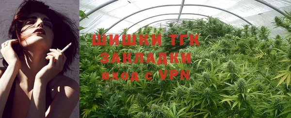 ешки Инсар