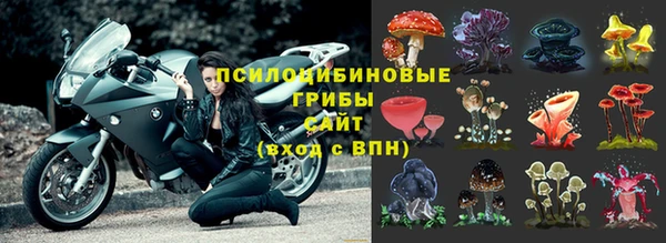 альфа пвп Инта