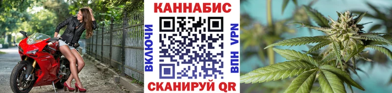 Купить закладки  Заринск  Канабис сатива 